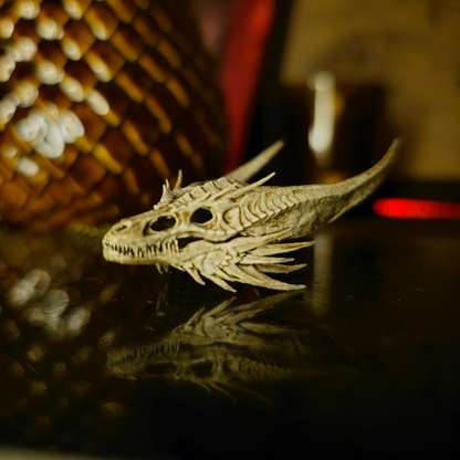 Crâne du dragon Sunfyre coté droit